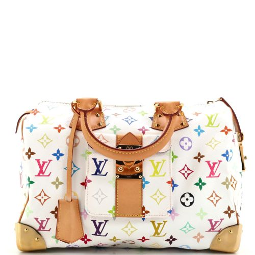 Speedy Handbag Monogram Multicolor 30